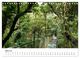 Thumbnail-9