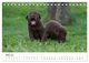 Thumbnail-8