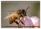 Thumbnail-14