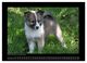 Thumbnail-13