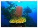 Thumbnail-9
