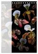 Thumbnail-8
