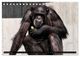 Thumbnail-13