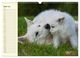 Thumbnail-9