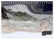 Thumbnail-14