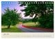 Thumbnail-11