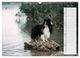 Thumbnail-9