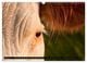 Thumbnail-11