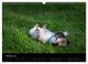 Thumbnail-12