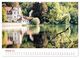 Thumbnail-11