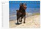 Thumbnail-12