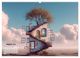 Thumbnail-13