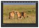 Thumbnail-12