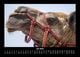 Thumbnail-11