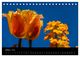 Thumbnail-12