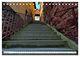 Thumbnail-8