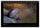 Thumbnail-9