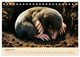 Thumbnail-13