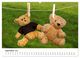 Thumbnail-10