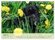 Thumbnail-8