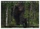 Thumbnail-9