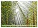 Thumbnail-11