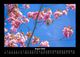 Thumbnail-12
