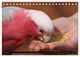 Thumbnail-8