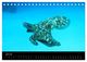 Thumbnail-9
