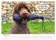 Thumbnail-9