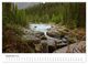 Thumbnail-11