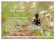 Thumbnail-12