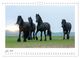 Thumbnail-9