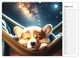 Thumbnail-13