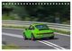 Thumbnail-13