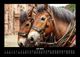 Thumbnail-11
