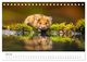 Thumbnail-9