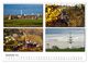 Thumbnail-14