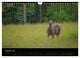 Thumbnail-12