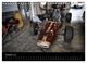 Thumbnail-12