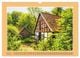 Thumbnail-12