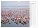 Thumbnail-11