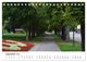 Thumbnail-14