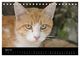 Thumbnail-9
