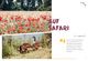 Thumbnail-12