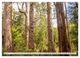 Thumbnail-10