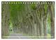 Thumbnail-10