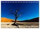 Thumbnail-12