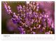 Thumbnail-10