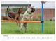 Thumbnail-12